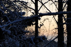 Kajasteli,mutta pilveen meni..:(                               